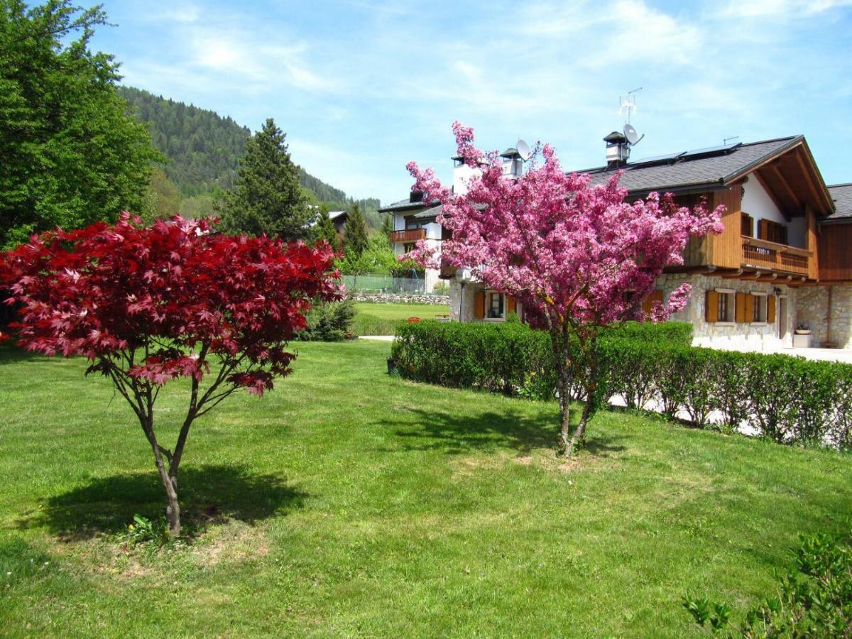 Ca'Milla B&B Nelle Dolomiti Pieve di Cadore Exterior foto